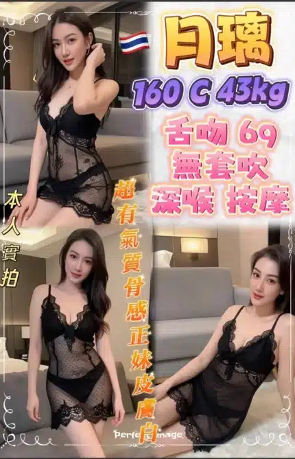 新北定點茶-月璃/160/43/?/C