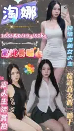 台北定點茶-淘娜/165/50/19/D