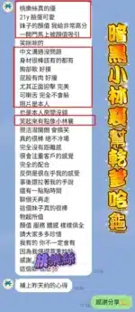 高雄定點茶-桃樂絲/160/43/20/E