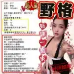 新竹定點茶-野格/151/44/23/C