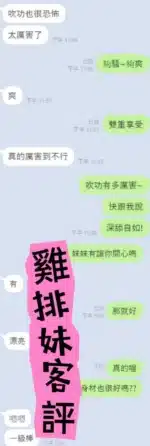 雲林定點茶-雞排妹/160/45/?/F