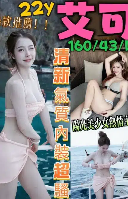台南定點茶-艾可/160/43/22/D