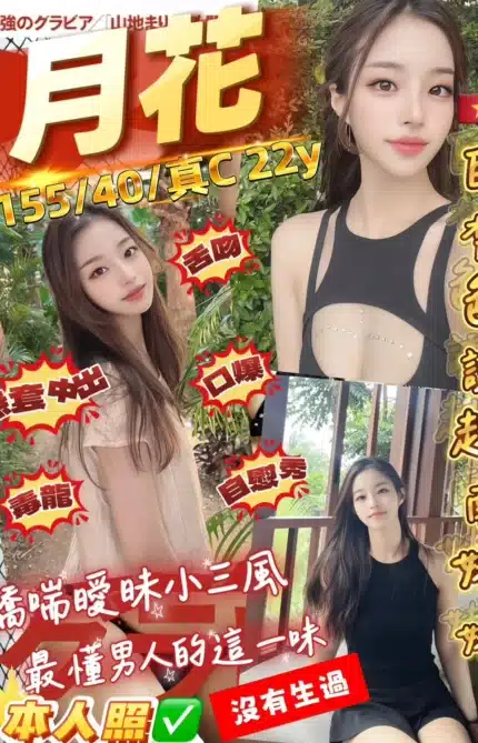 桃園定點茶-月花/155/40/22/C