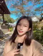 台北定點茶-蜜朵朵/159/42/22/D