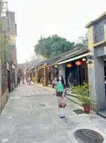 台北定點茶-點兒/163/49/22/B