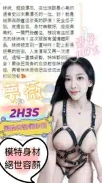 台中定點茶-夢薇/163/43/23/G
