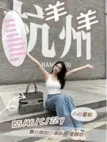 新竹定點茶-羊羊/155/46/22/C