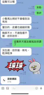 台東定點茶-球球/152/45/22/C