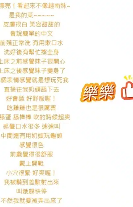 桃園定點茶-樂樂/160/43/22/D