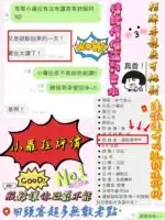 新竹定點茶-小蘿拉/160/46/20/E