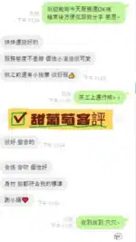台南定點茶-甜葡萄/155/45/22/H