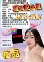 桃園定點茶-小梅/161/48/25/C