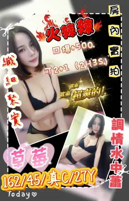 新北定點茶-草莓/162/45/27/C