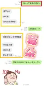 台中定點茶-莓朵/165/43/20/E