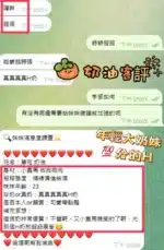 南投定點茶-奶油/153/42/22/H