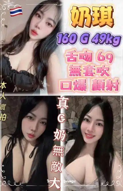 新北定點茶-奶琪/160/49/?/G