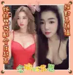 台南定點茶-露思/162/47/?/E
