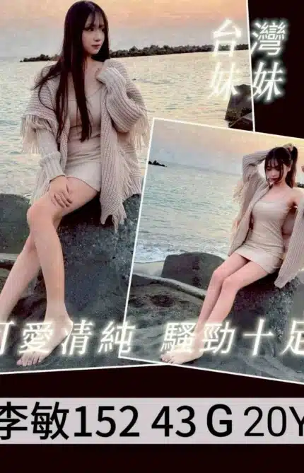 台南外送茶-李敏/152/43/20/G