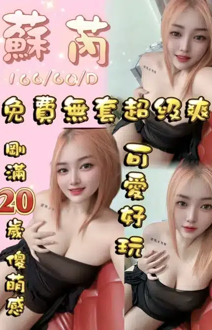 桃園定點茶-蘇芮/166/60/20/D