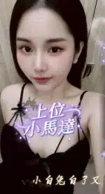 南投定點茶-小兔/160/50/23/C