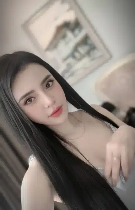 雲林定點茶-落落/158/46/24/E