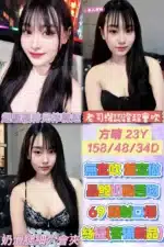 雲林定點茶-方晴/158/48/23/D