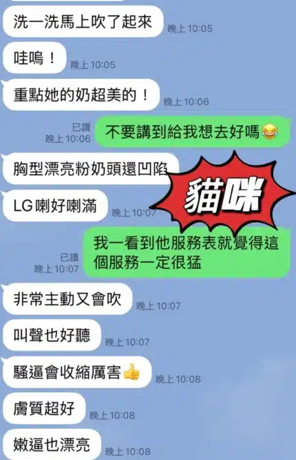 台東定點茶-貓咪/169/47/25/D
