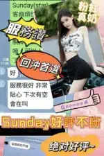 嘉義定點茶-Sunday/162/44/21/D