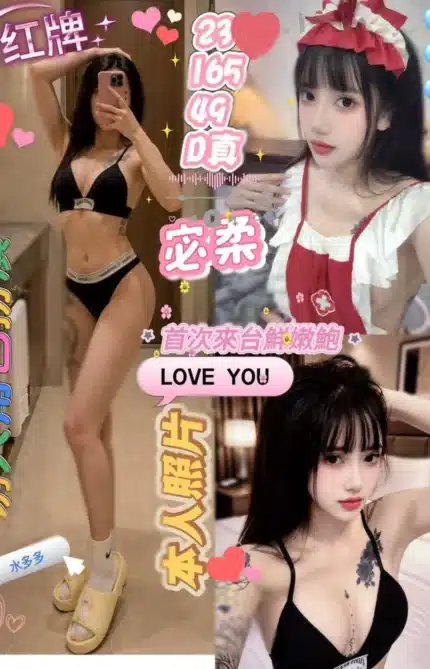 新竹定點茶-宓柔/165/49/23/D