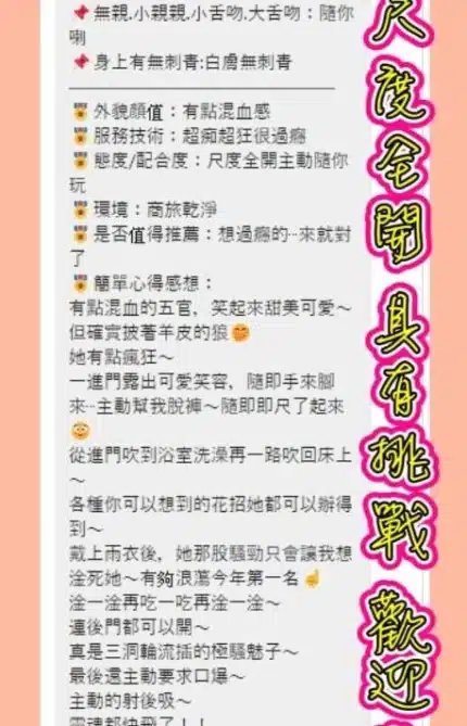 新北定點茶-拉拉/153/45/24/B