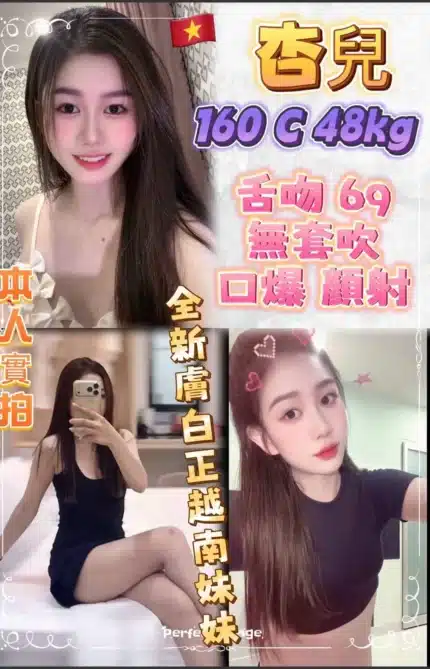 新北定點茶-杏兒/160/48/21/C