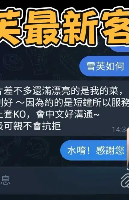 台南定點茶-雪芙/160/45/20/C