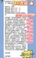 新竹定點茶-依琳/162/45/25/E