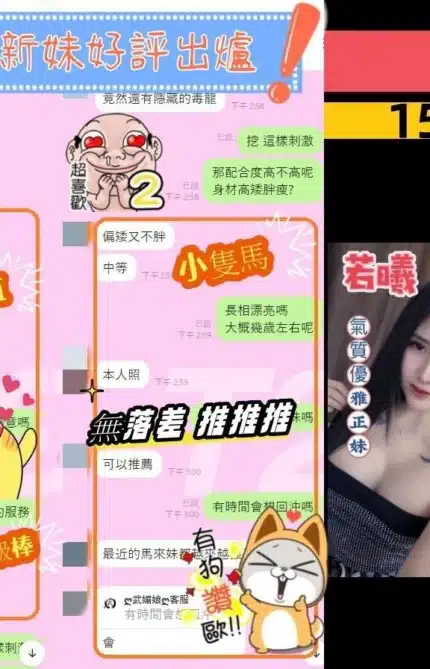 嘉義定點茶-若曦/156/48/24/D