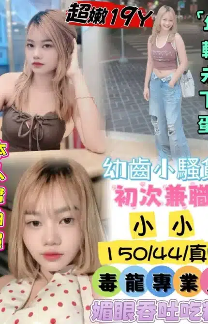 台中定點茶-小小/150/44/19/D