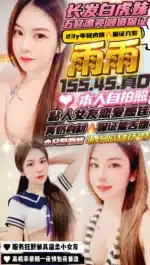 新竹定點茶-雨雨/155/45/23/D