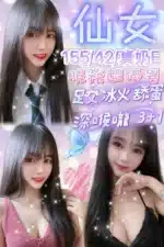 新竹定點茶-仙女/155/42/21/E