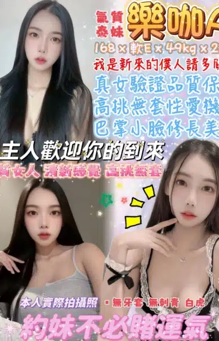 台北定點茶-樂咖A/168/49/23/E