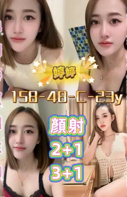 屏東定點茶-婷婷/158/48/23/C