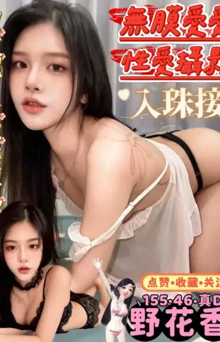屏東定點茶-野花香/155/46/23/D