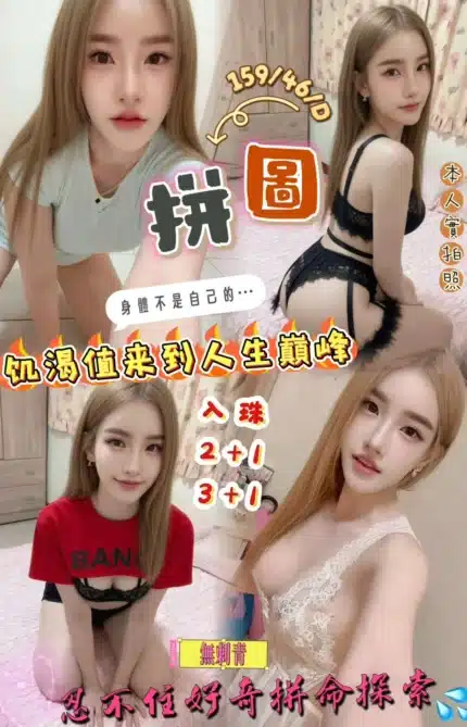 新竹定點茶-拼圖/159/46/?/D