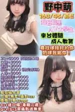 台中外送茶-野中萌/163/45/24/E