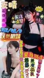 屏東定點茶-天晴/152/43/?/D