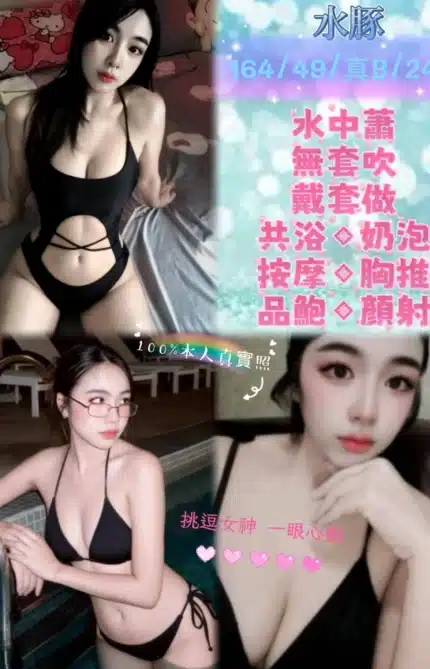 新北定點茶-水豚/164/49/24/B