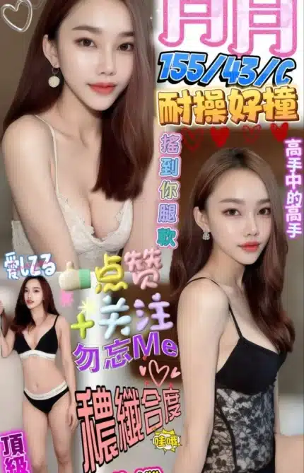 屏東定點茶-月月/155/45/?/C