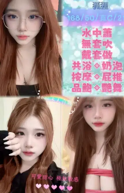 新北定點茶-狐狸/168/50/21/C