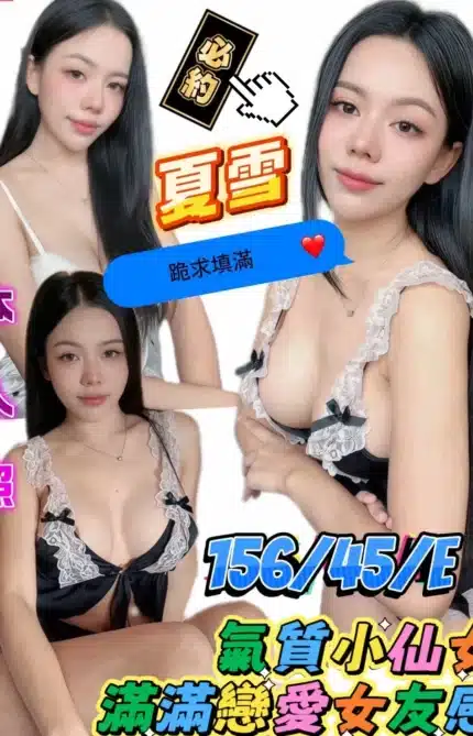 嘉義定點茶-夏雪/156/45/22/E