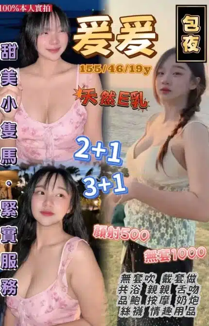 桃園定點茶-爰爰/155/46/19/E