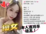 台中定點茶-仙女/170/50/25/E
