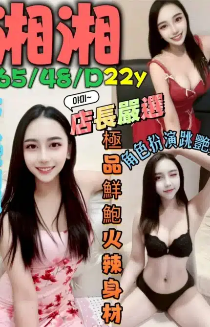 新北定點茶-湘湘/165/48/22/D